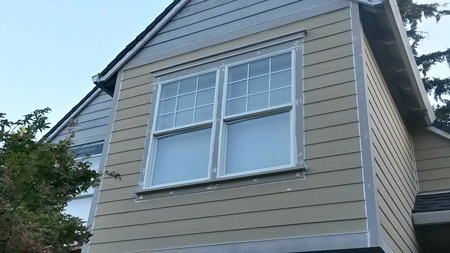Window Replacement